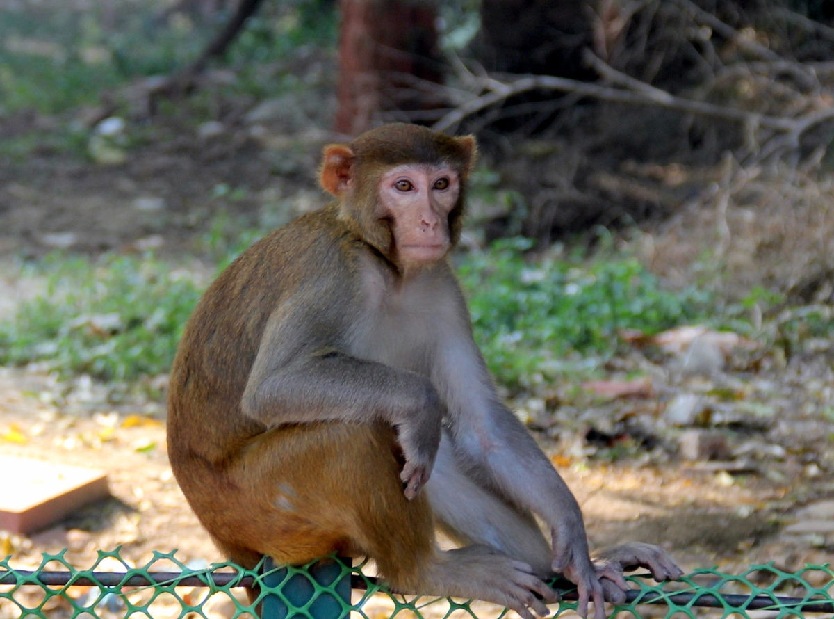 3rd. - Phillip Edmunds